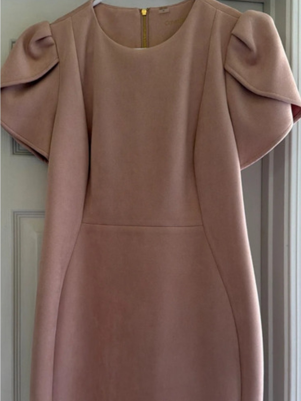Calvin Klein Faux Suede Pink (blush) 
Asymmetrical Sheath Dress